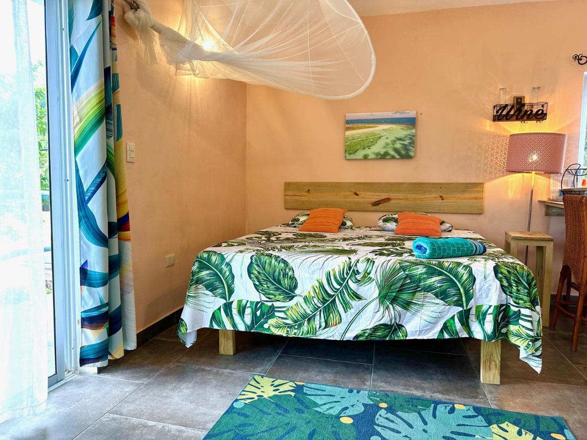 Cabarete Boutique Kite Hotel For Up To 15 People Eksteriør billede